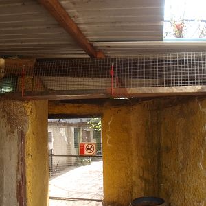 Coati corridor and entrance to aviary (April 19th, 2015)