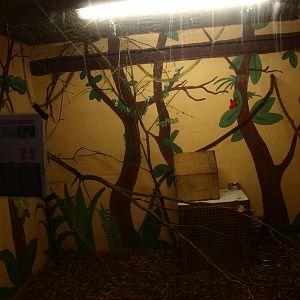 Finlayson's squirrel enclosure (April 19th, 2015)