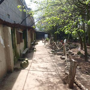 Walk-through aviary (April 19th, 2015)