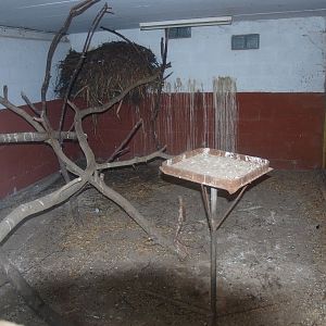 Indoor bird housing (April 19th, 2015)