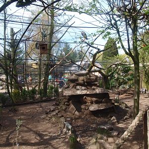 Walk-through aviary (April 19th, 2015)