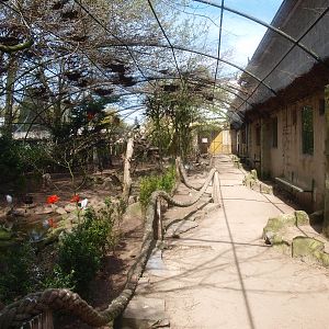 Walk-through aviary overview (April 19th, 2015)