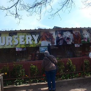 Nursery (April 19th, 2015)