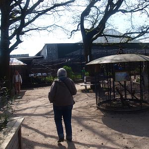 Nursery and bird area (April 19th, 2015)