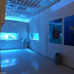 Corner of Saltwater and Freshwater Sections