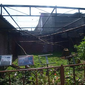 Parrot aviary (April 19th, 2015)