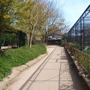 Block of aviaries (April 19th, 2015)