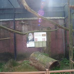 Burrowing owl aviary (April 19th, 2015)