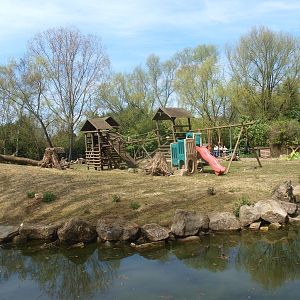 Brown capuchin island (April 19th, 2015)