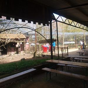 Picnic area and aviaries (April 19th, 2015)