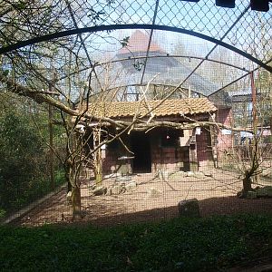 Parakeet aviary (April 19th, 2015)