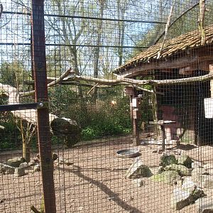 Parakeet aviary (April 19th, 2015)