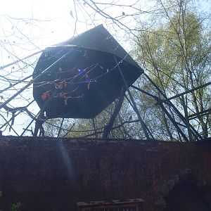 Former gibbon cage (April 19th, 2015)