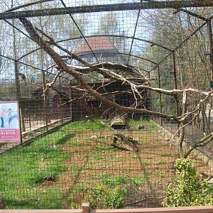 Parrot and seriema aviary (April 19th, 2015)