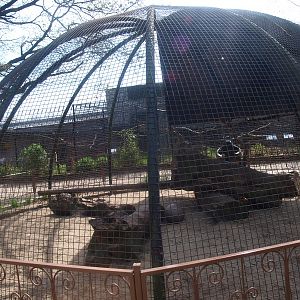 Cat rearing cage (April 19th, 2015)