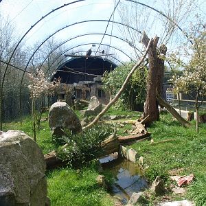 Vulture and raptor aviary (April 19th, 2015)