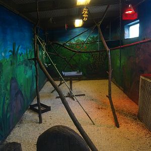 Common squirrel monkey indoor housing (April 19th, 2015)