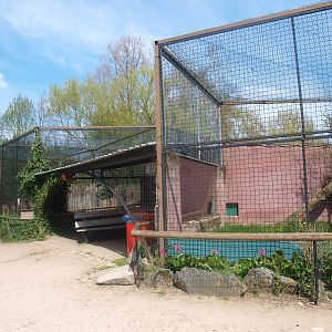 Cat cages and picnic area (April 19th, 2015)
