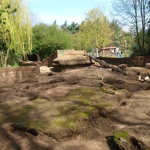 Crested porcupine and prairie dog exhibit (April 19th, 2015)