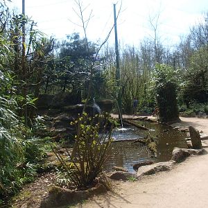 Large walk-through aviary (April 19th, 2015)