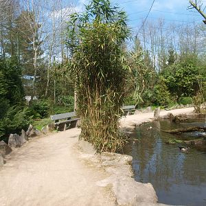 Large walk-through aviary (April 19th, 2015)