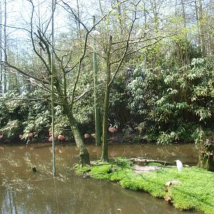 Large walk-trough aviary (April 19th, 2015)