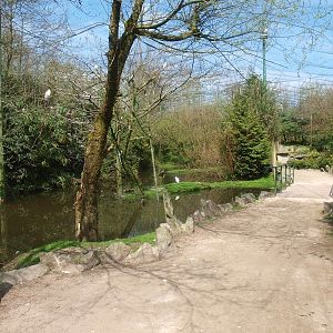 Large walk-trough aviary (April 19th, 2015)