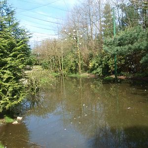 Large walk-trough aviary (April 19th, 2015)