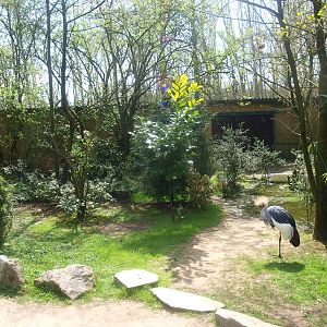 Large walk-trough aviary, barn (April 19th, 2015)