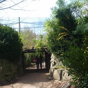 Entrance/exit of large aviary (April 19th, 2015)
