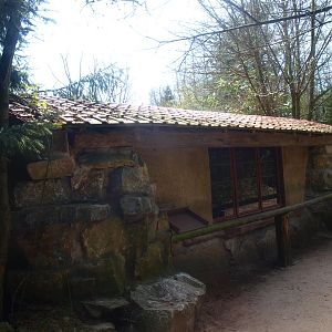 Lar gibbon building (April 19th, 2015)