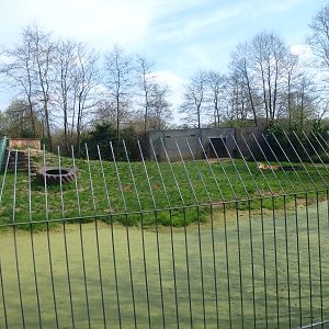 Siberian tiger enclosure (April 19th, 2015)