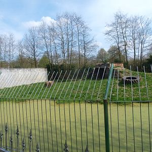 Siberian tiger enclosure (April 19th, 2015)