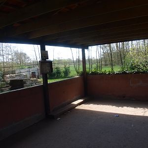 Tiger viewing area (April 19th, 2015)