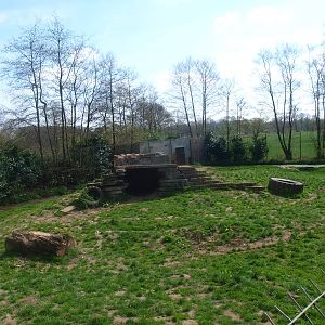 Siberian tiger enclosure (April 19th, 2015)