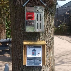 Bee our guest... (April 19th, 2015)