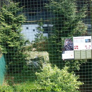 Indian eagle-owl aviary (April 19th, 2015)