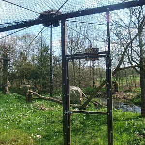 Bald eagle aviary (April 19th, 2015)