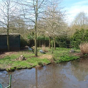 Blue crane enclosure (April 19th, 2015)