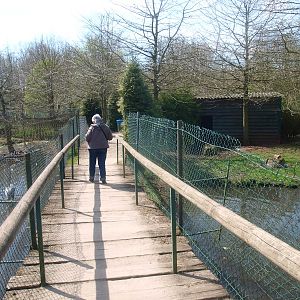 Crane Promenade, visitor bridge (April 19th, 2015)