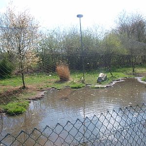 Stork, crane and ibis aviary (April 19th, 2015)