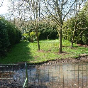 Common crane enclosure (April 19th, 2015)