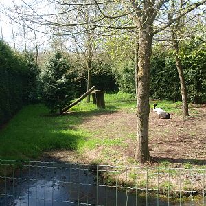 Black-necked crane exhibit (April 19th, 2015)