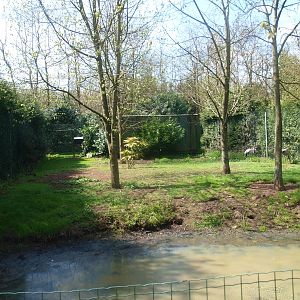 Common crane enclosure (April 19th, 2015)