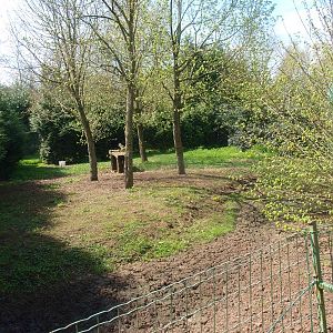 White-naped crane enclosure (April 19th, 2015)