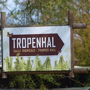 Tropics Hall sign (April 19th, 2015)