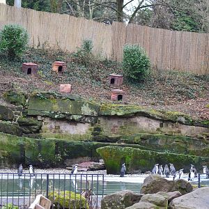 Penguin Exhibit