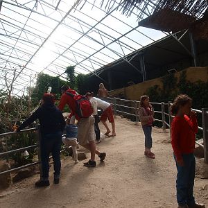 Tropics Hall - path (April 19th, 2015)