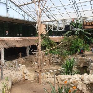 Tropics Hall - Tortoise enclosures (April 19th, 2015)