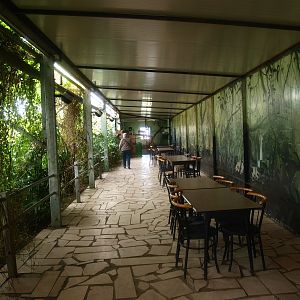 Picnic area in the Tropics Hall (April 19th, 2015)